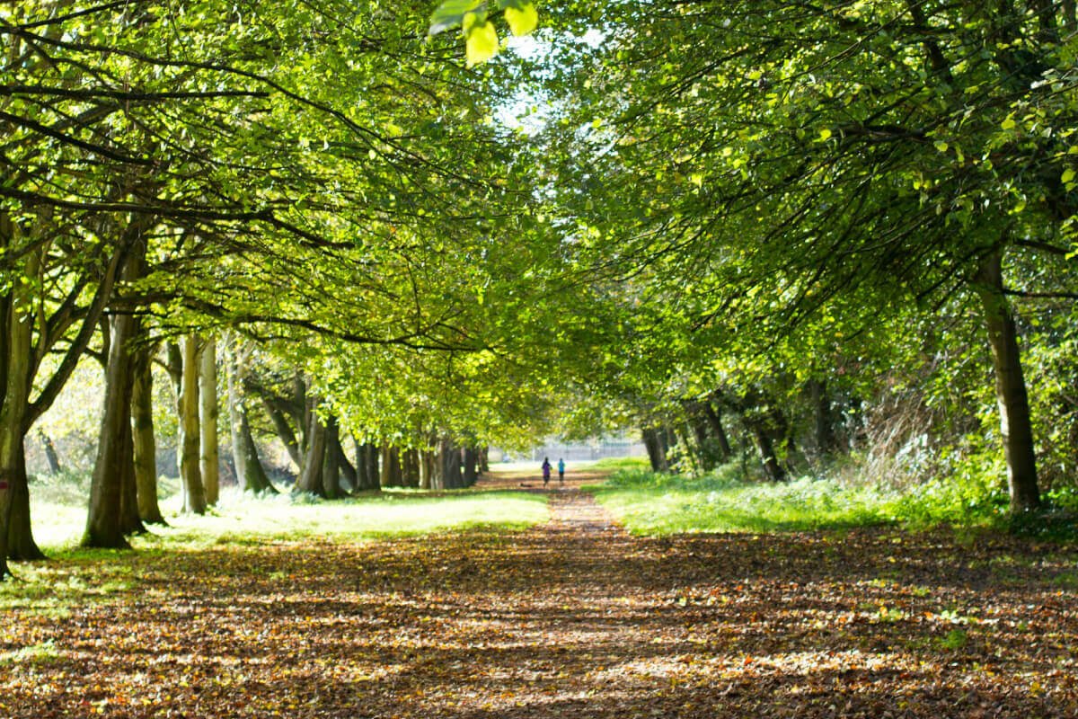 Country Park Thurstaston