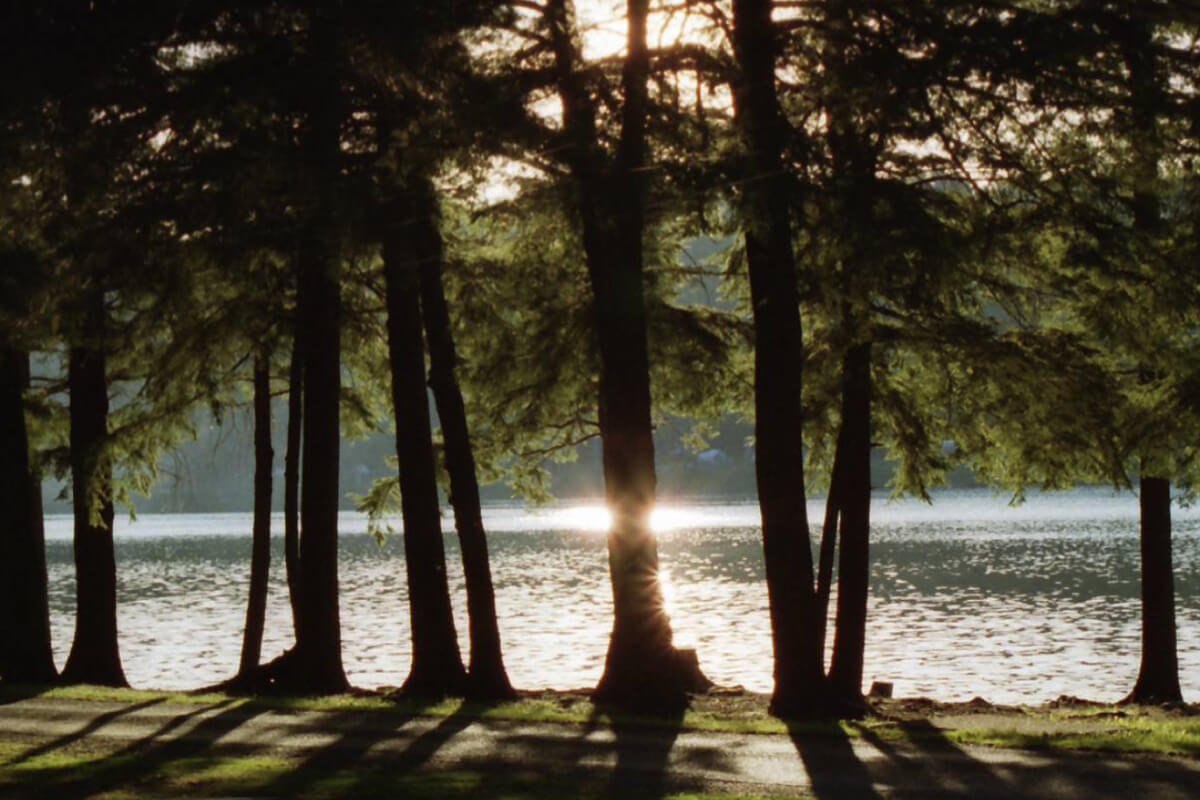 Port Sunlight River Park