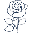 Untitled design (42)